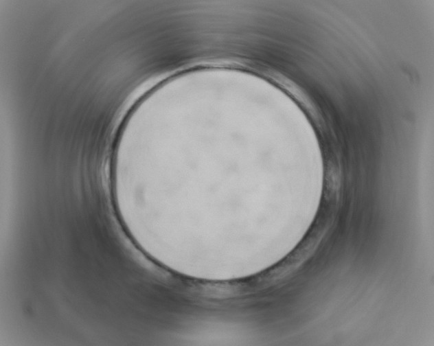 X0000112820959200910021159