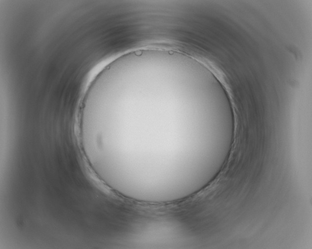 X0000112820960200910021159