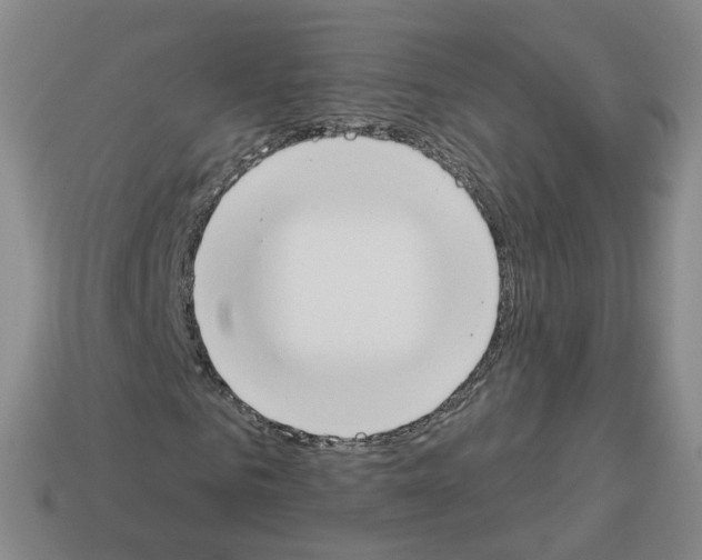 X0000112820961200910021158