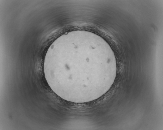 X0000112820966200910021158