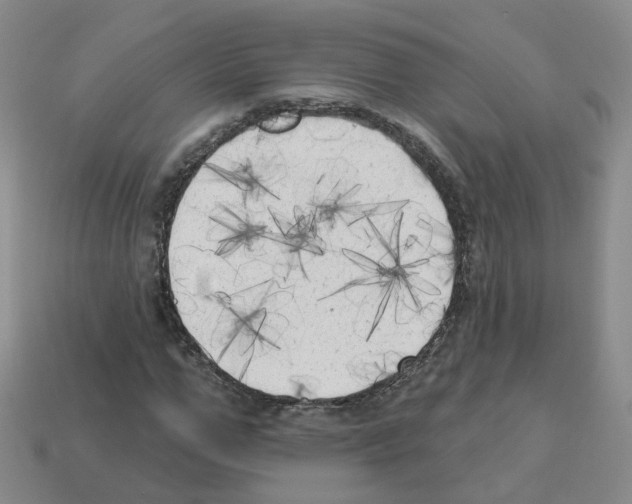 X0000112820967200910021158