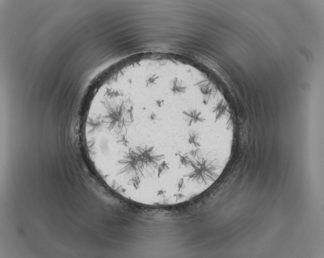 X0000112820971200910021158