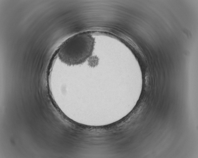 X0000112820972200910021158