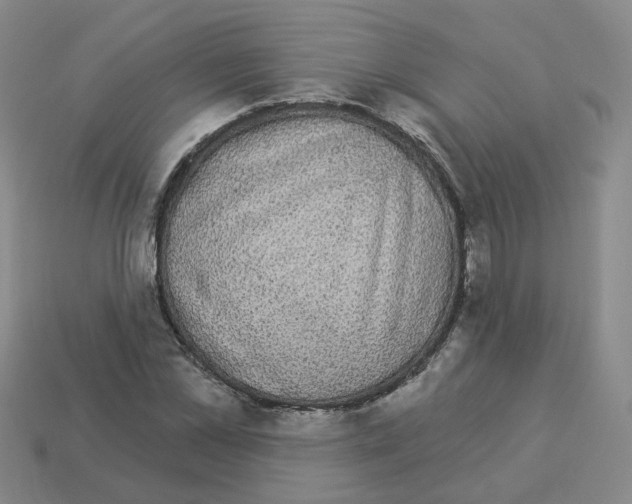 X0000112820973200910021158