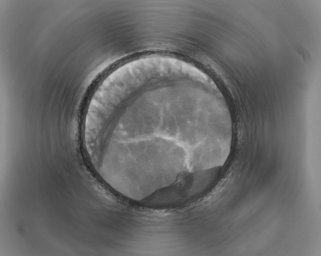 X0000112820975200910021158