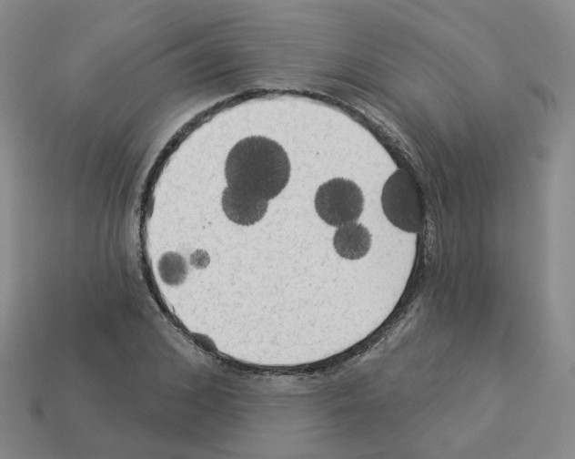 X0000112820976200910021158