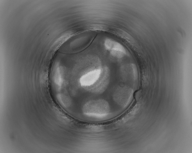 X0000112820977200910021158