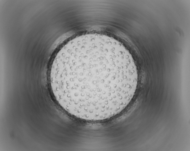 X0000112820978200910021158