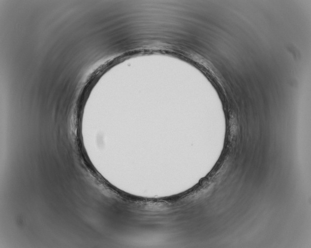 X0000112820979200910021158