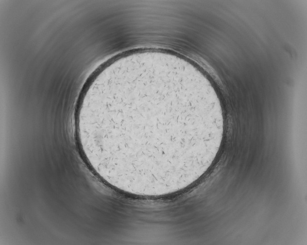 X0000112820980200910021158