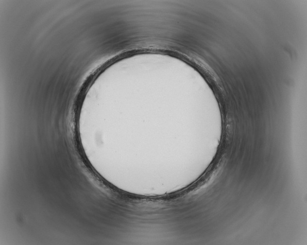 X0000112820981200910021158