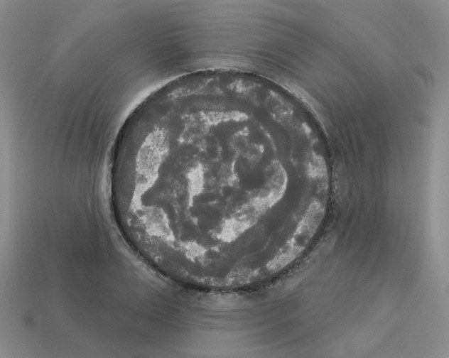 X0000112820983200910021158