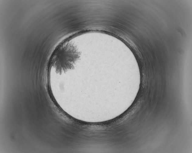 X0000112820984200910021158