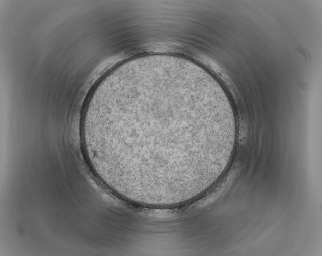 X0000112820986200910021158