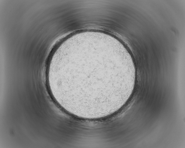 X0000112820987200910021158