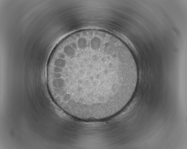 X0000112820988200910021158