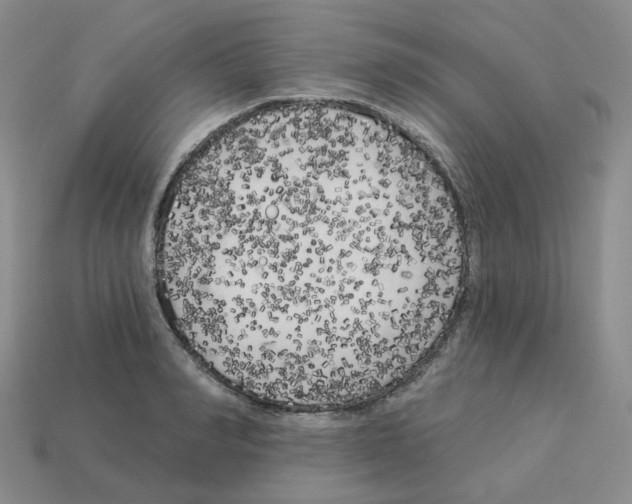 X0000112820990200910021158