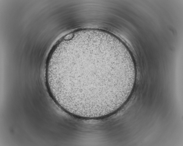 X0000112820992200910021158