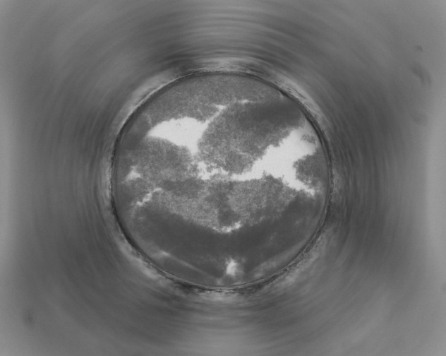 X0000112820994200910021158