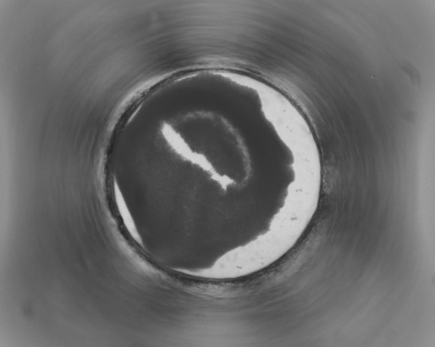 X0000112820995200910021158