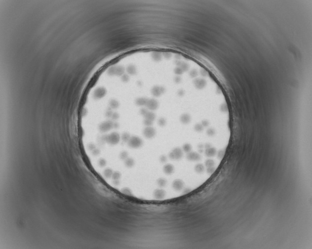 X0000112820996200910021158