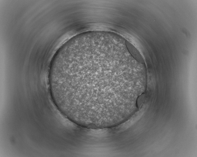 X0000112820997200910021158