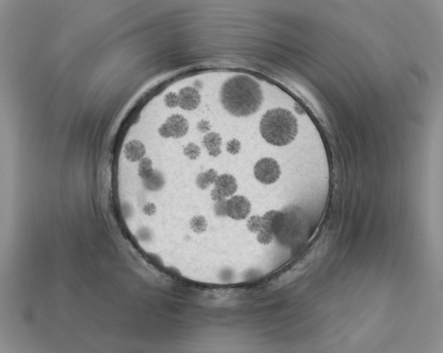 X0000112821000200910021158