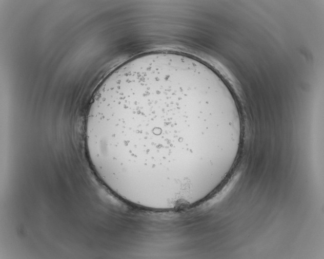 X0000112821001200910021158