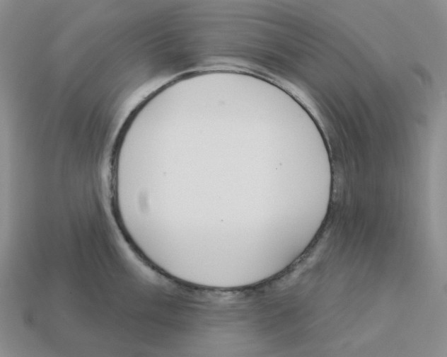 X0000112821003200910021158