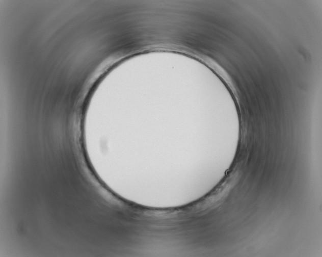 X0000112821005200910021158