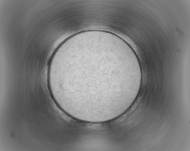 X0000112821006200910021158