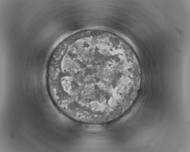 X0000112821007200910021158