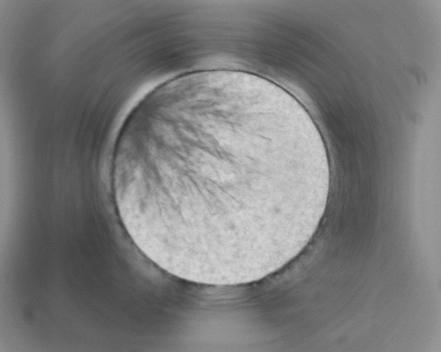 X0000112821008200910021158