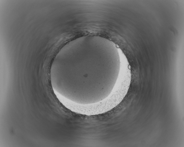 X0000112821009200910021157