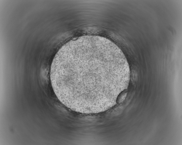 X0000112821010200910021157