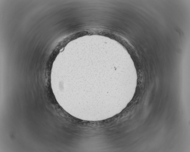 X0000112821016200910021157