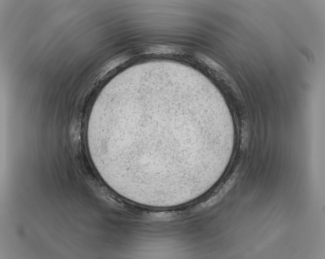 X0000112821017200910021157