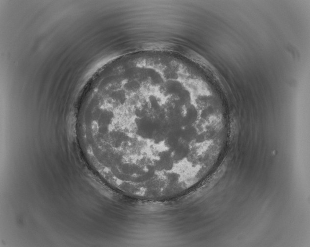 X0000112821019200910021157