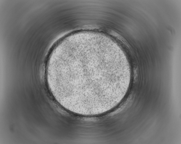 X0000112821021200910021157