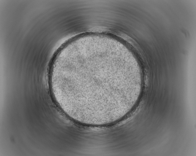 X0000112821022200910021157