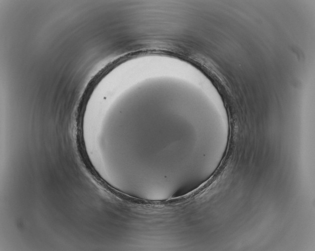 X0000112821024200910021157