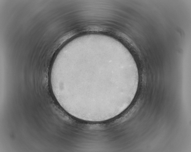 X0000112821025200910021157