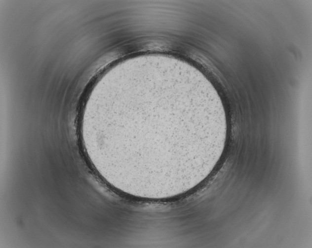 X0000112821026200910021157