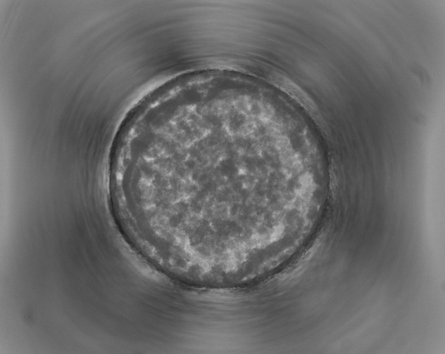 X0000112821028200910021157