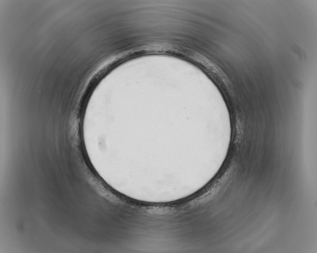 X0000112821029200910021157