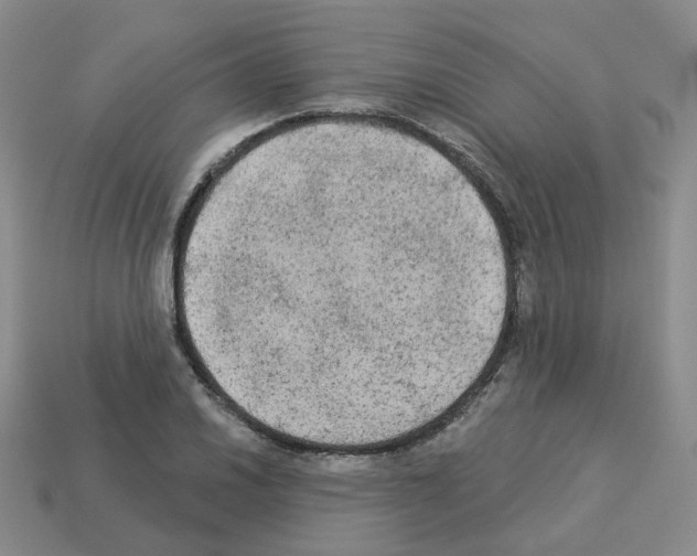 X0000112821030200910021157