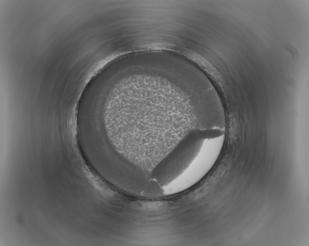 X0000112821031200910021157