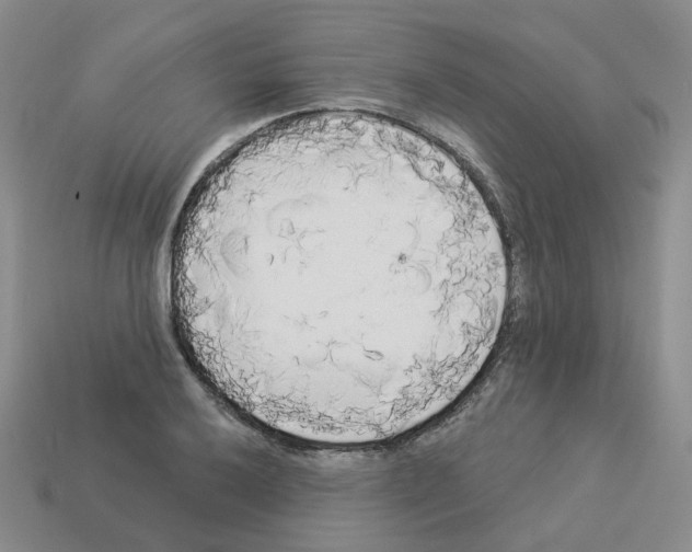 X0000112821032200910021157