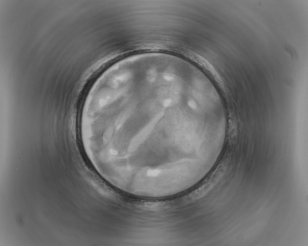 X0000112821035200910021157