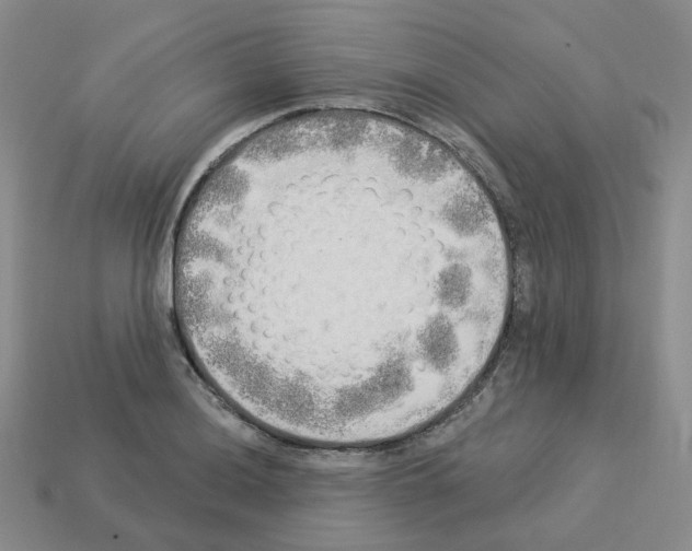 X0000112821036200910021157